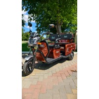 Triciclu Electric Pemotto T6, 3000W, Benă Mare 90x80 cm, Capacitate 450 kg