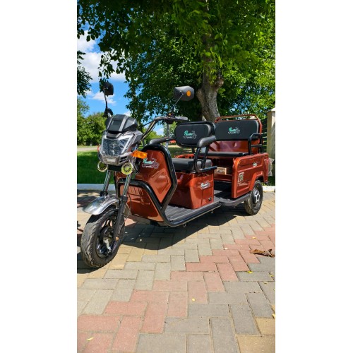 Triciclu Electric Pemotto T6, 3000W, Benă Mare 90x80 cm, Capacitate 450 kg