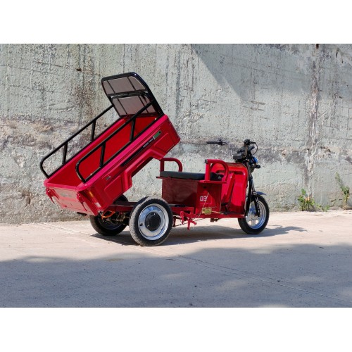 Pemotto D3 — электрический трицикл 60В 32Ач, мотор 1200Вт, максимальная мощность 3000Вт, запас хода около 45 км и грузоподъемность до 450 кг.