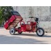 Pemotto D3 — электрический трицикл 60В 32Ач, мотор 1200Вт, максимальная мощность 3000Вт, запас хода около 45 км и грузоподъемность до 450 кг.