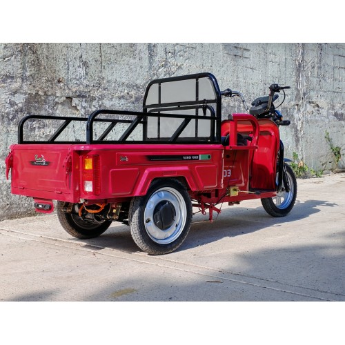 Pemotto D3 — электрический трицикл 60В 32Ач, мотор 1200Вт, максимальная мощность 3000Вт, запас хода около 45 км и грузоподъемность до 450 кг.